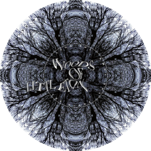 Woods of Littleton LP Label von Ron Gaube